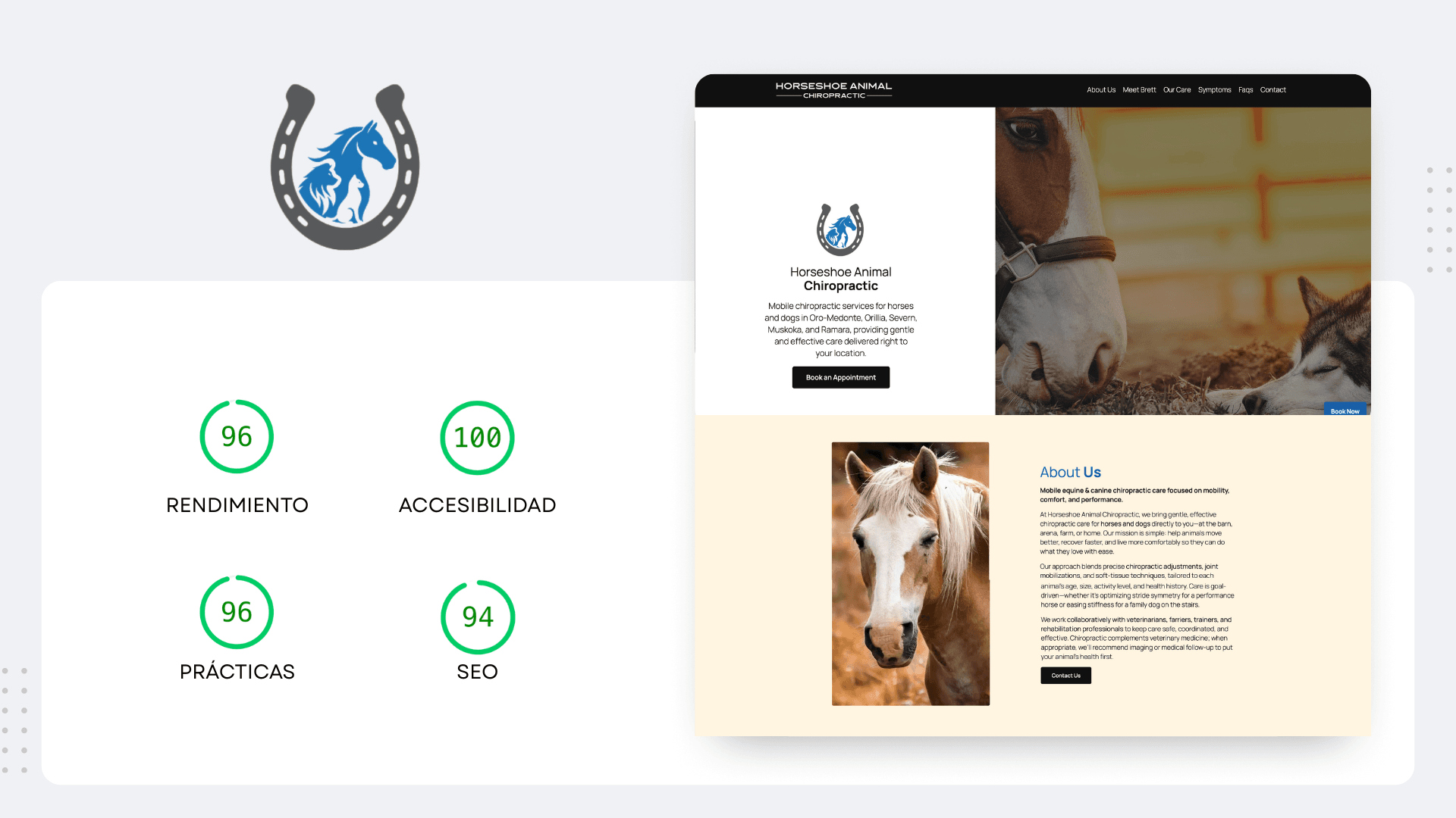 Caso de éxito SEO - Horseshoe Animal Chiropractic Canadá